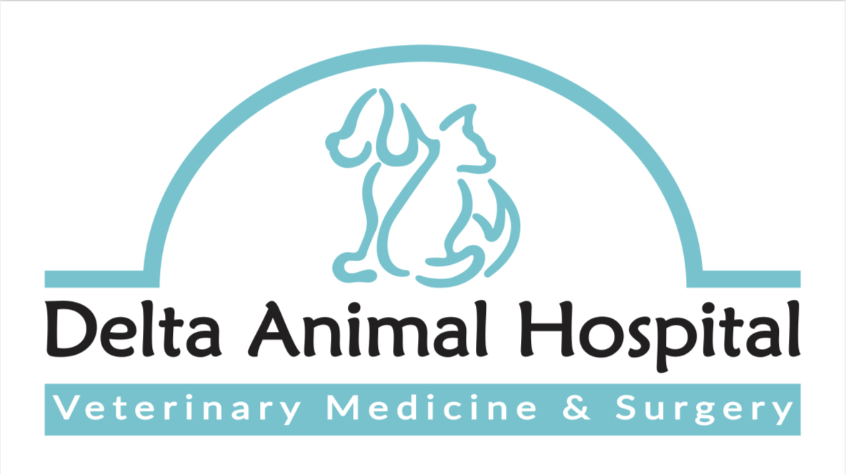 Best Veterinary Hospital In Bay Minette, AL 36507 | Delta AH