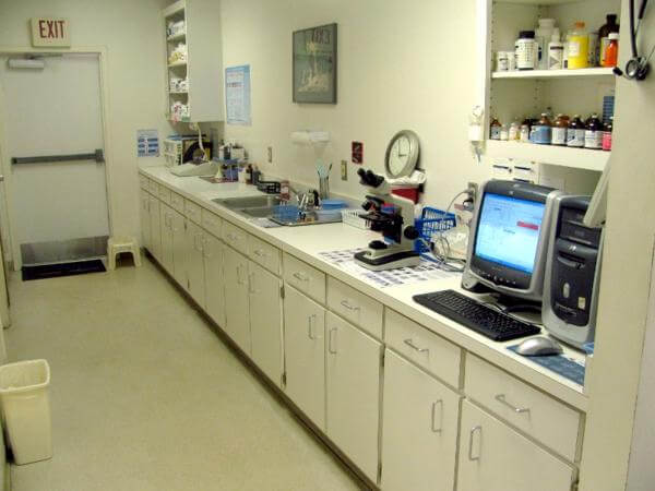 delta animal hospital laboratory