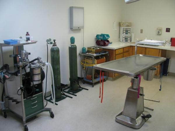 delta animal hospital surgery room