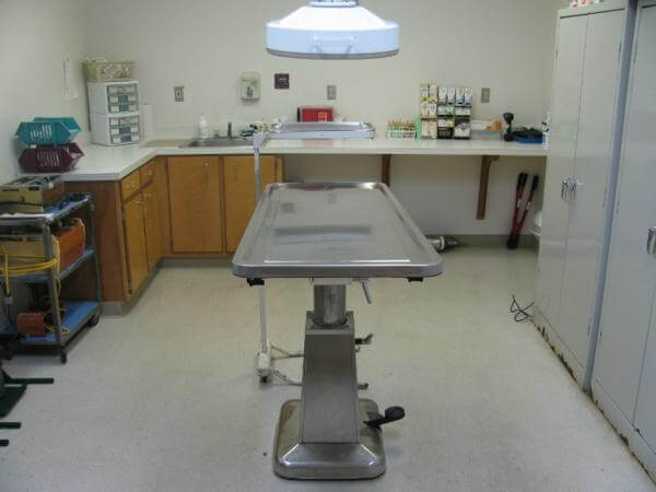 delta animal hospital surgery room