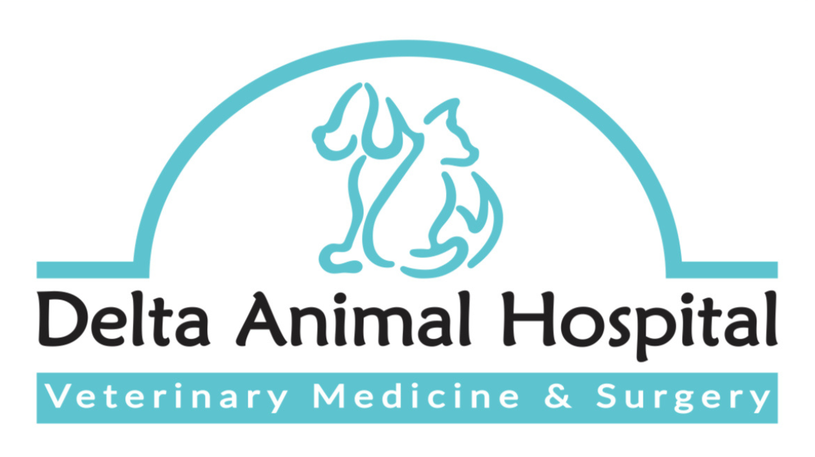 Delta Animal Hospital